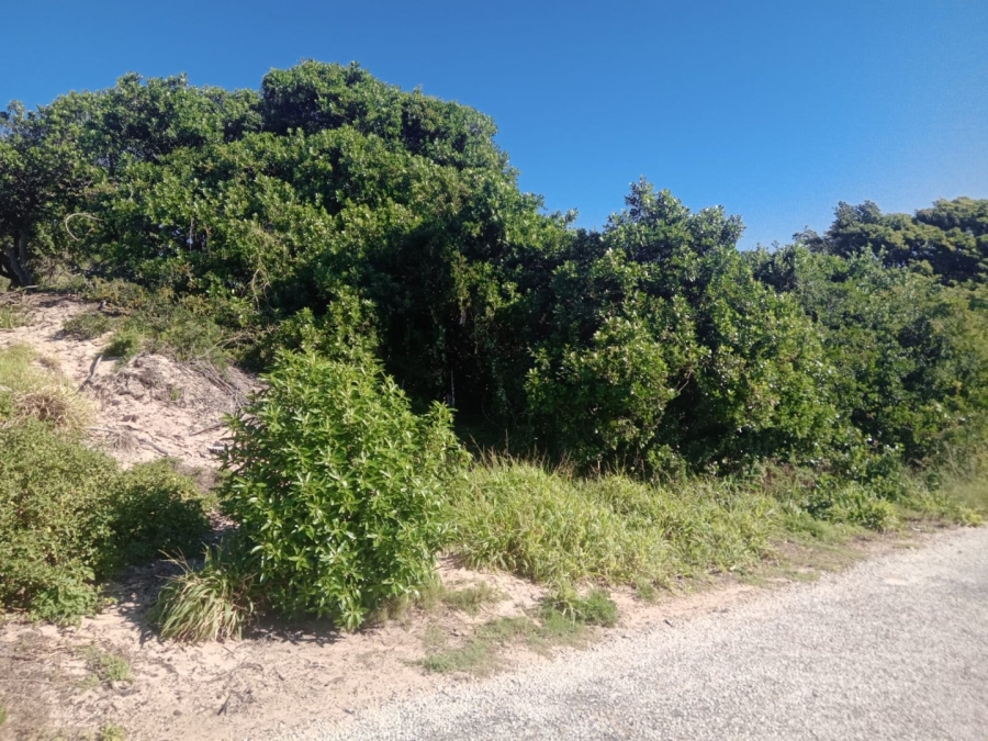 Commercial Property for Sale in Paradise Beach Eastern Cape